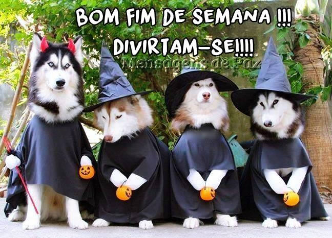 Bom fim de semana!!! Divirtam-se!!!
