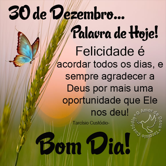 Penúltimo Dia do Ano imagem 2