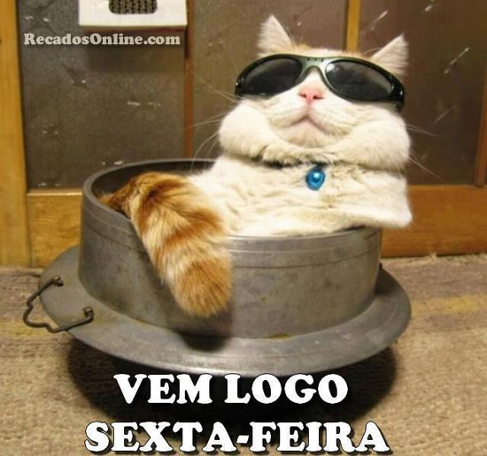 Vem Logo Sexta-Feira