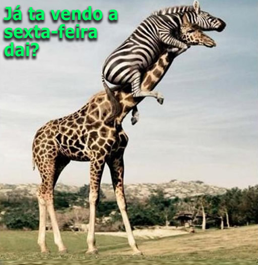 Já tá vendo a sexta-feira daí?