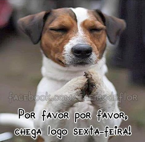 Por favor por favor, chega logo sexta-feira!
