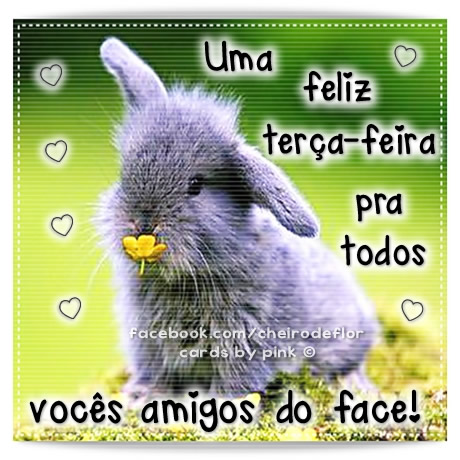 Uma feliz Terça-Feira pra todos vocês amigos do Face!
