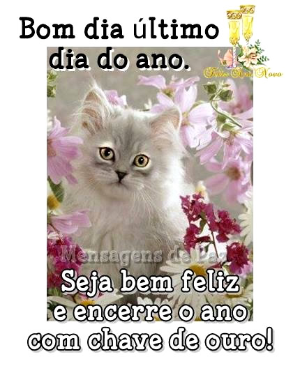 Último Dia do Ano imagem 6