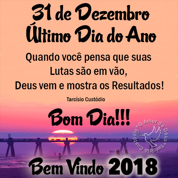 Último Dia do Ano imagem 4
