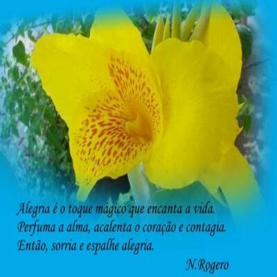 Alegria é o toque...