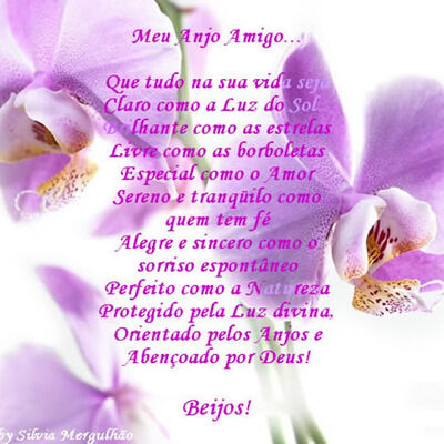 Meu Anjo Amigo...