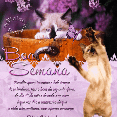 Boa Semana Bendit...