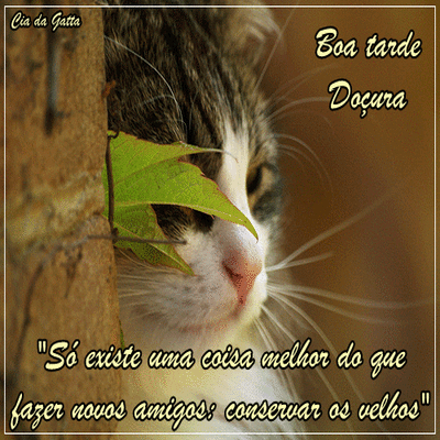 Boa Tarde Doçura...