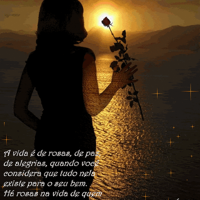 A vida é de rosas...