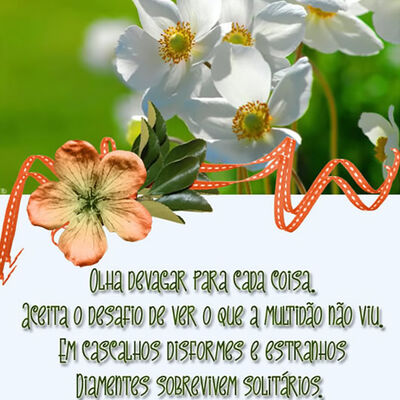 Olha devagar para...