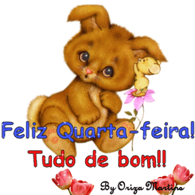 Feliz quarta-feir...