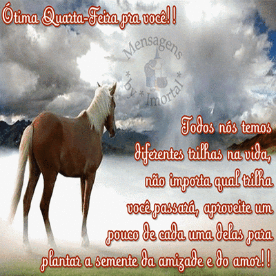 Ótima quarta-feir...